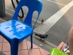 -新加坡Zam Zam餐馆
