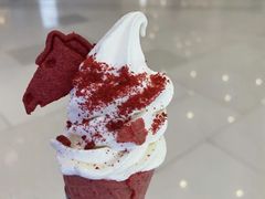 -春丽小马(济南恒隆广场店)