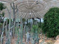 -苏州太湖国家湿地公园