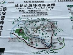 -碧峰峡风景区