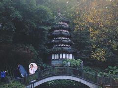 -深圳国际园林花卉博览园