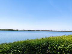 -丁香湖公园