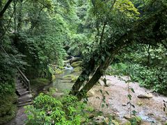 -青城山