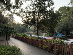-晓港公园