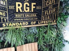 门面-RGF(巨鹿路店)