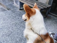 -21G Espresso(前山店)