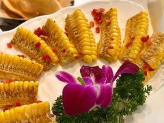 -喜聚薈·花膠雞海鮮火鍋(越秀店)