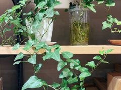 -MUJI无印良品(西单大悦城店)