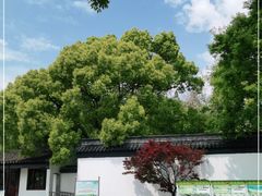 -苏州上方山国家森林公园