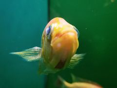 -青岛海底世界-水族馆