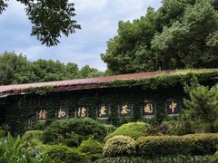-中国茶叶博物馆(双峰馆区)