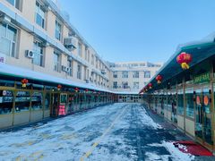 -新疆红山干果市场