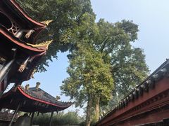-峨眉山报国寺