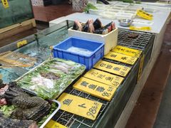 -寻味顺德·南记酒家·传统顺德菜·鱼生(广源路店)