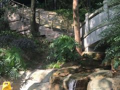 -巴倒烫陆派火锅山庄(南山总店)
