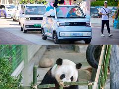 -灵玲国际马戏城
