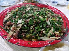 -东吴霸王兔(松青路店)