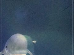 -南昌融创海世界