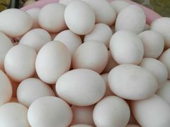 -小玲农家柴火饭店