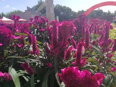 -辽东学院(南校区)