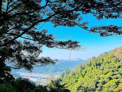 -东莞市大岭山森林公园