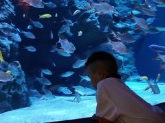 -成都浩海立方海洋公园