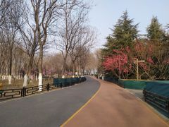 -大兴滨河森林公园