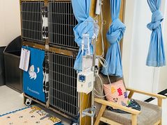 -美联众合动物医院·24h京西诊疗中心