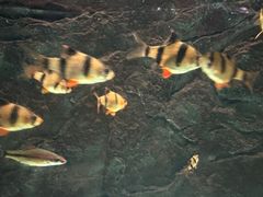 -苏州海洋馆