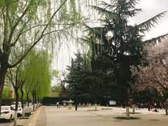 -木塔寺遗址生态公园