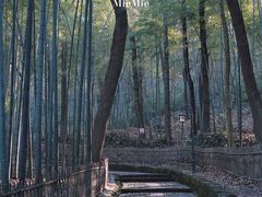 -杭州黄龙洞