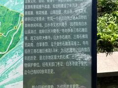 -白水寺森林公园