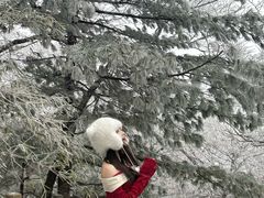 -洛阳白云山景区