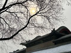 -晋祠公园