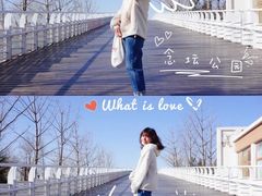 -大兴滨河森林公园