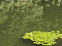 -龙湾潭国家森林公园