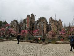 -秀丽东方