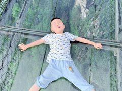 -梦幻奥陶纪景区