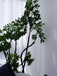 -JNK皮肤管理中心