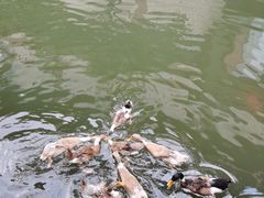 -浙江省博物馆(孤山馆区)