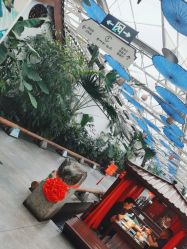 点击看大图 -特味村·宴会厅(生态园店)