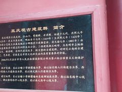 -真庆观