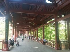 -重庆彩云湖湿地公园