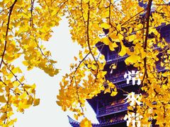 -常熟方塔园