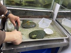 -诸暨珍珠市场