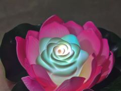 -印象普陀