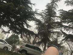 -花园口旅游区