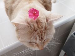 -Animate(工人体育场东路店)