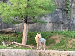 -杭州野生动物世界