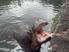 -海南热带野生动植物园